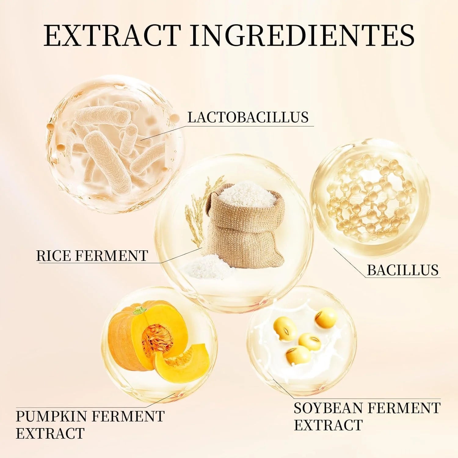 Rice and Probiotics Sunscreen SPF50+ Pakistan